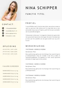 Gratis cv template 1, gratis voorbeeld cv templates in microsoft word.