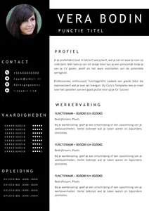 Gratis cv template 13 word | 100% gratis voorbeeld cv templates in Microsoft 13 Word | Maak je CV in een handomdraai | eenvoudig en snel te bewerken