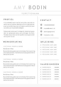 Gratis cv template 15 word | 100% gratis voorbeeld cv templates in Microsoft Word | Maak je CV in een handomdraai | eenvoudig en snel te bewerken