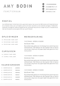 Gratis cv template 16 word | 100% gratis voorbeeld cv templates in Microsoft Word | Maak je CV in een handomdraai | eenvoudig en snel te bewerken
