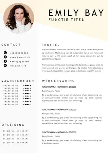 Gratis cv template 17 word | 100% gratis voorbeeld cv templates in Microsoft Word | Maak je CV in een handomdraai | eenvoudig en snel te bewerken