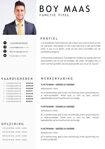 Gratis cv template 22 word | 100% gratis voorbeeld cv templates in Microsoft Word | Maak je CV in een handomdraai | eenvoudig en snel te bewerken