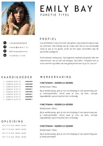 Gratis cv template 23 word | 100% gratis voorbeeld cv templates in Microsoft Word | Maak je CV in een handomdraai | eenvoudig en snel te bewerken