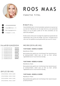 Gratis cv template 24 word | 100% gratis voorbeeld cv templates in Microsoft Word | Maak je CV in een handomdraai | eenvoudig en snel te bewerken