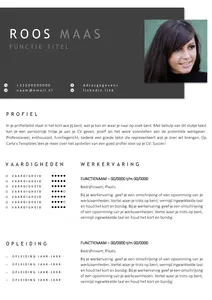 Gratis cv template 25 word | 100% gratis voorbeeld cv templates in Microsoft Word | Maak je CV in een handomdraai | eenvoudig en snel te bewerken