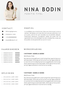 Gratis cv template 29 word | 100% gratis voorbeeld cv templates in Microsoft Word | Maak je CV in een handomdraai | eenvoudig en snel te bewerken