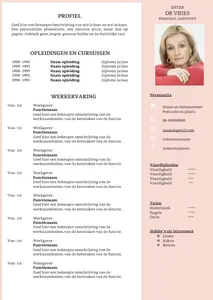 cv voorbeeld 13: in een handomdraai je cv maken met onze gratis cv voorbeelden in Microsoft Word. 100% gratis, professioneel en snel.