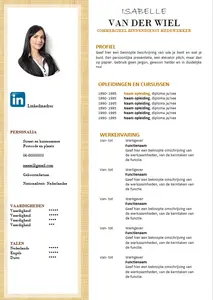 cv voorbeeld 14: in een handomdraai je cv maken met onze gratis cv voorbeelden in Microsoft Word. 100% gratis, professioneel en snel.