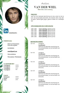 cv voorbeeld 15: in een handomdraai je cv maken met onze gratis cv voorbeelden in Microsoft Word. 100% gratis, professioneel en snel.