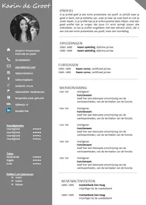 cv voorbeeld 17: in een handomdraai je cv maken met onze gratis cv voorbeelden in Microsoft Word. 100% gratis, professioneel en snel.
