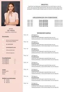 cv voorbeeld 9: in een handomdraai je cv maken met onze gratis cv voorbeelden in Microsoft Word. 100% gratis, professioneel en snel.