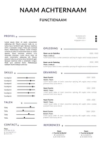 CV voorbeeld Word 10 | eenvoudige (Gratis) cv template | Maak in een handomdraai je cv in Word met onze gratis templates en start direct met solliciteren.
