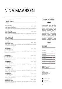 CV voorbeeld Word 5 | eenvoudige (Gratis) cv template | Maak in een handomdraai je cv in Word met onze gratis templates en start direct met solliciteren.