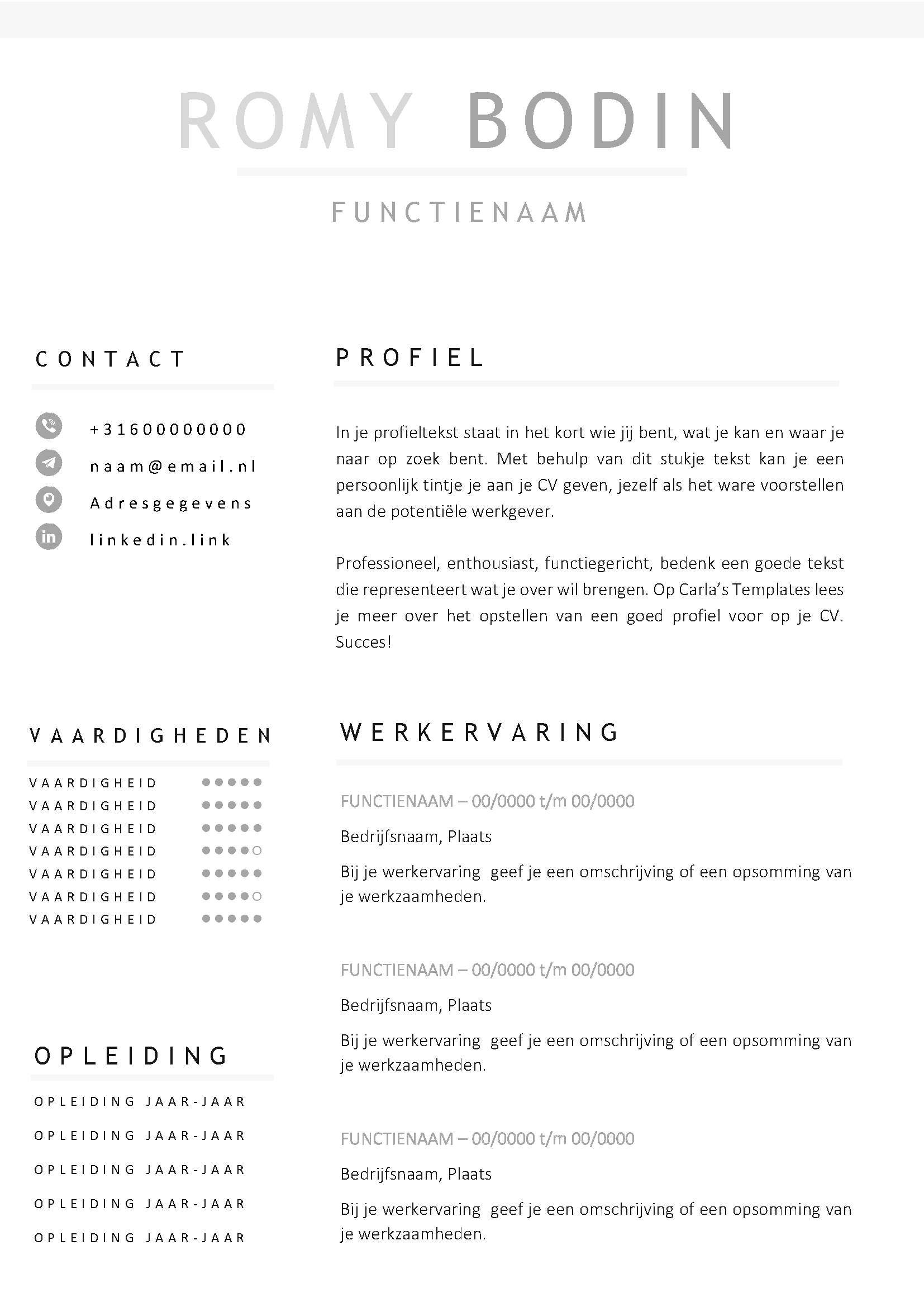 Gratis-cv-template-14