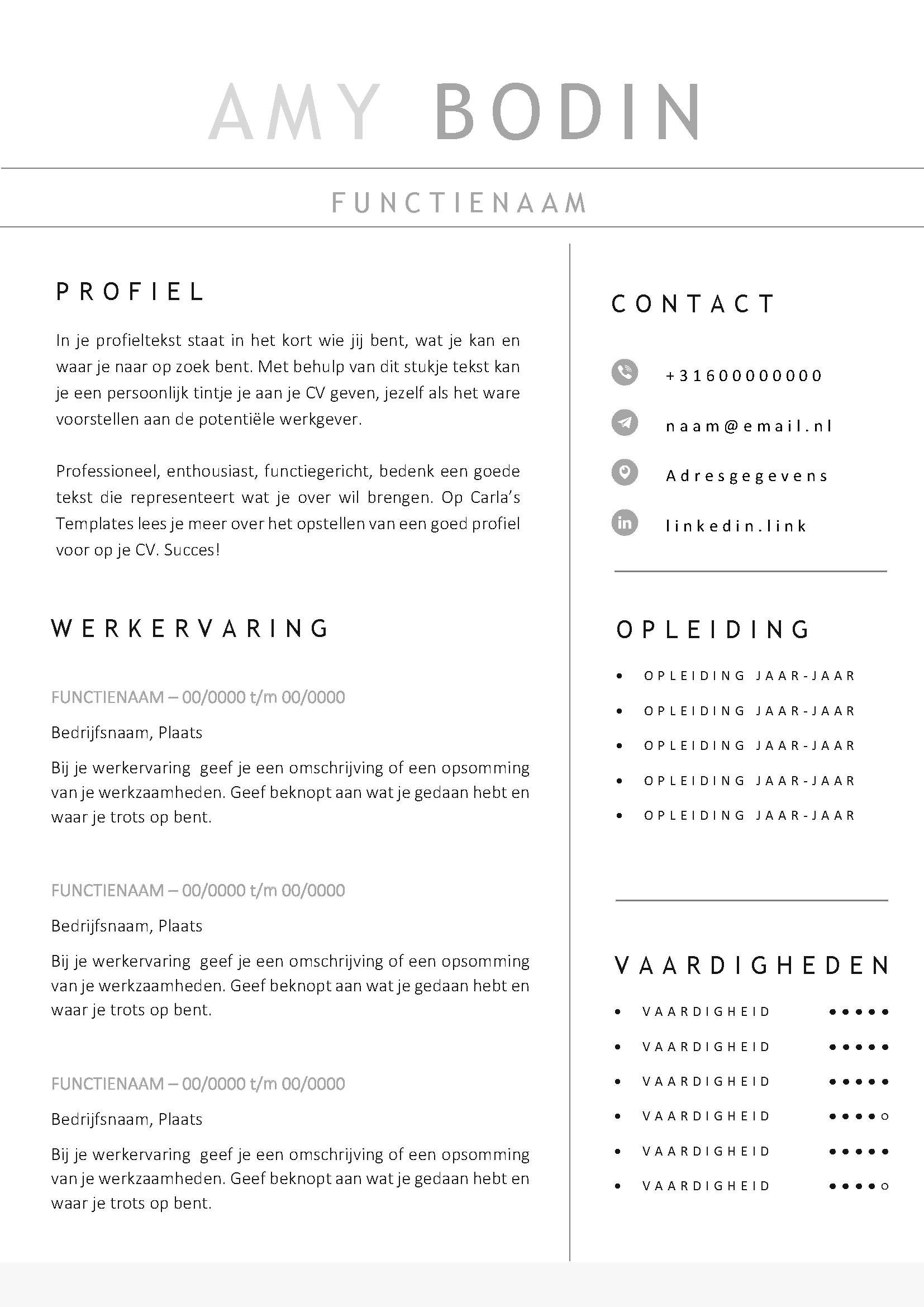 Gratis cv template 15 word | 100% gratis voorbeeld cv templates in Microsoft Word | Maak je CV in een handomdraai | eenvoudig en snel te bewerken