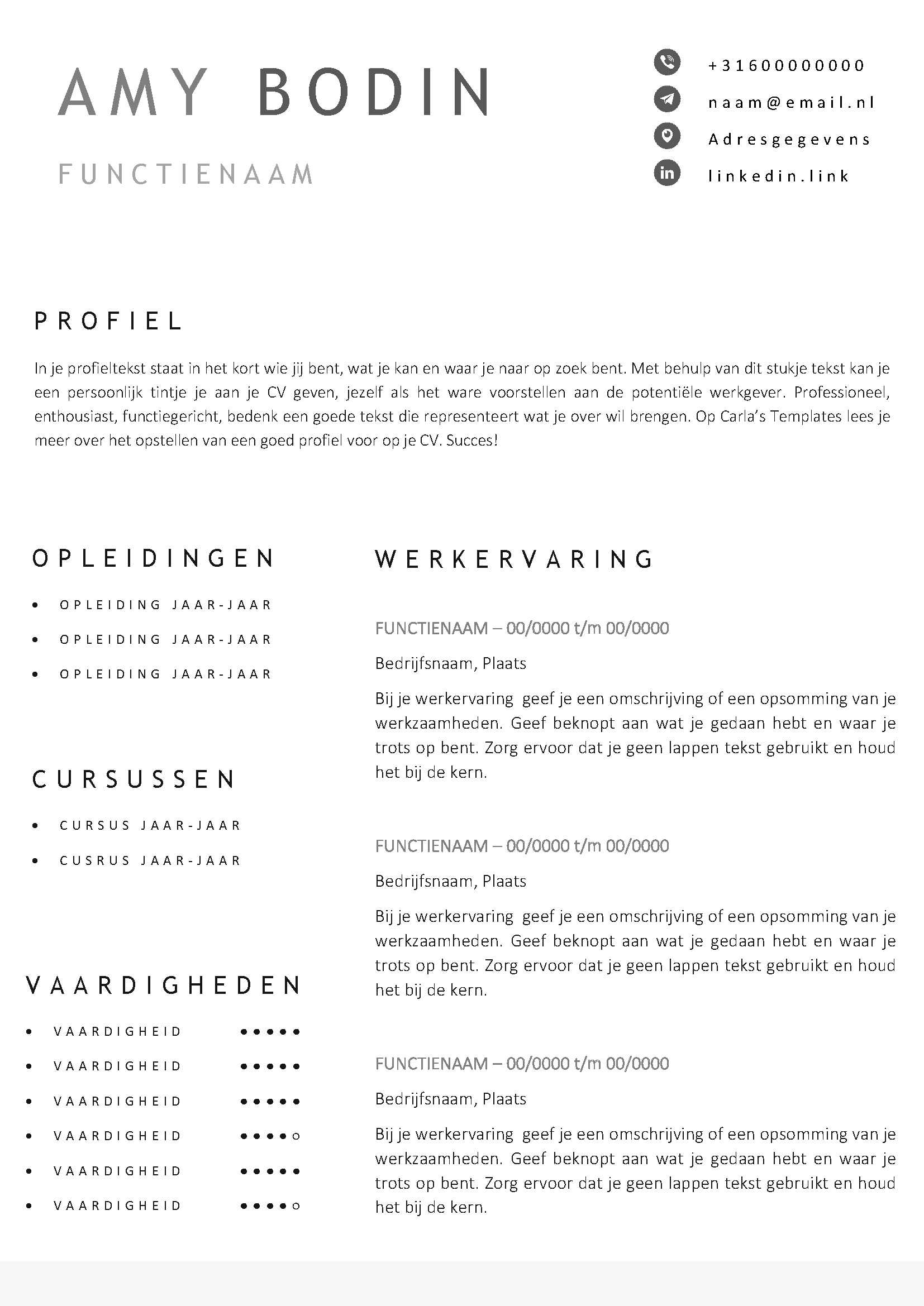 bedreiging Meestal gevechten Gratis CV Template 16 - Voorbeeld CV in Word (Gratis)