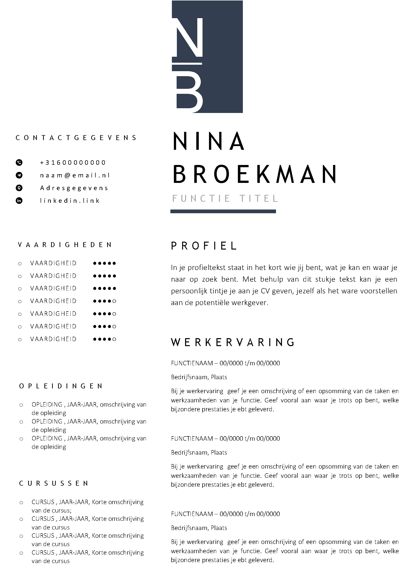 CV Voorbeeld Student Maak een professioneel CV zonder ervaring