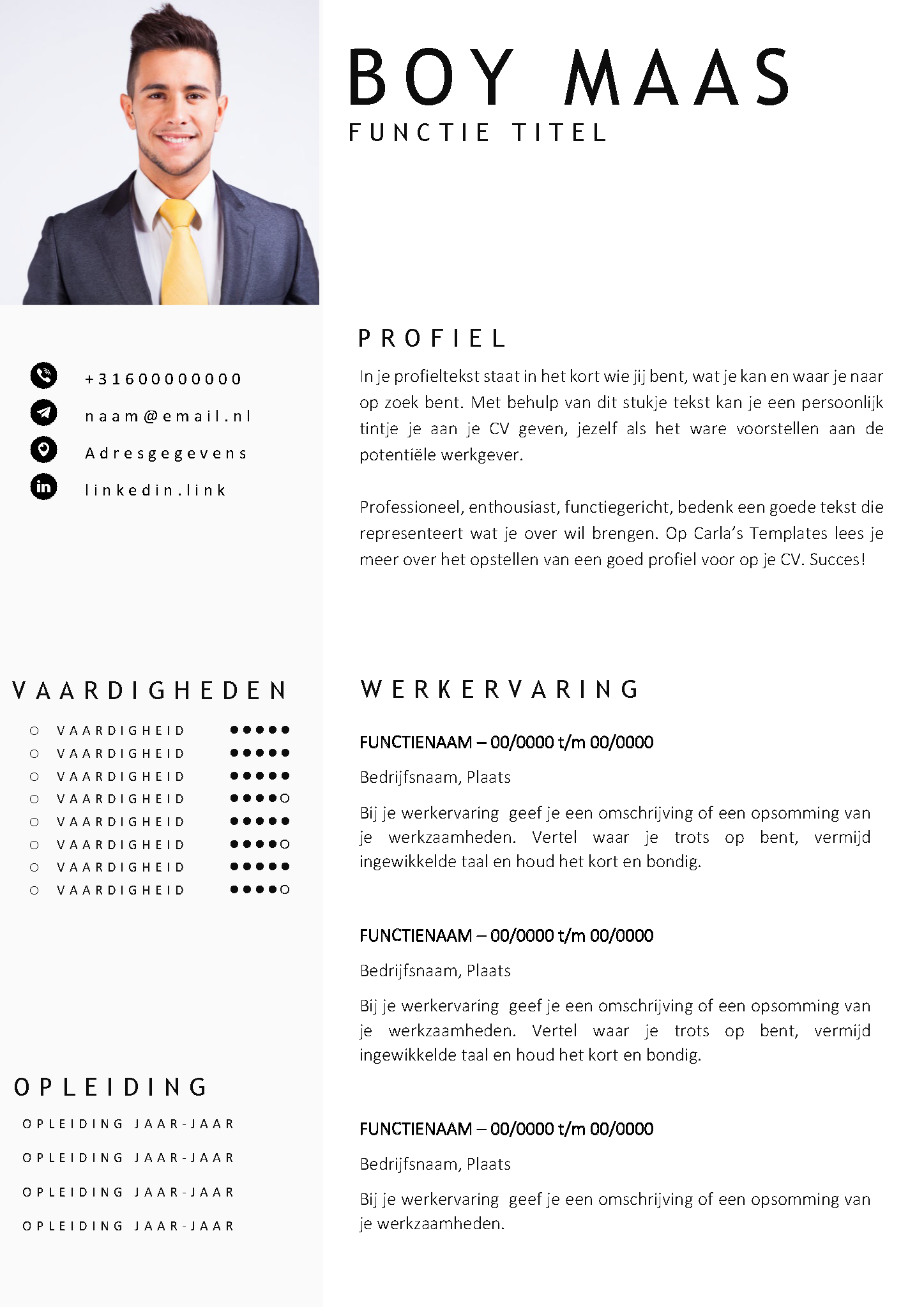 Gratis cv template 22 word | 100% gratis voorbeeld cv templates in Microsoft Word | Maak je CV in een handomdraai | eenvoudig en snel te bewerken