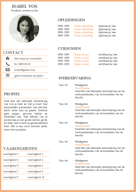 Gratis Cv Voorbeeld