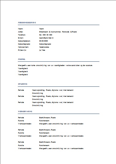 CV voorbeeld