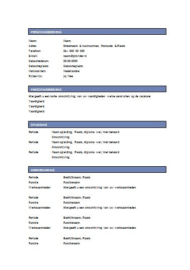 Cv Maken Voorbeeld