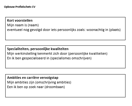 Profiel Cv